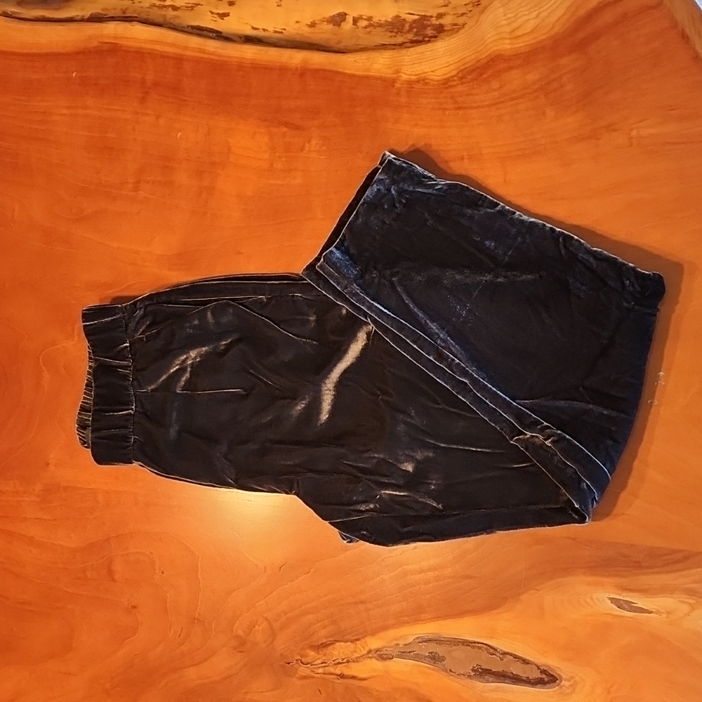 Velvet Pull On Pants